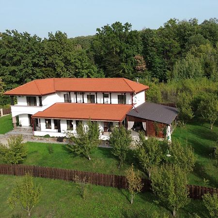 Pensiunea Emelys, Iasi Barnova Exterior foto