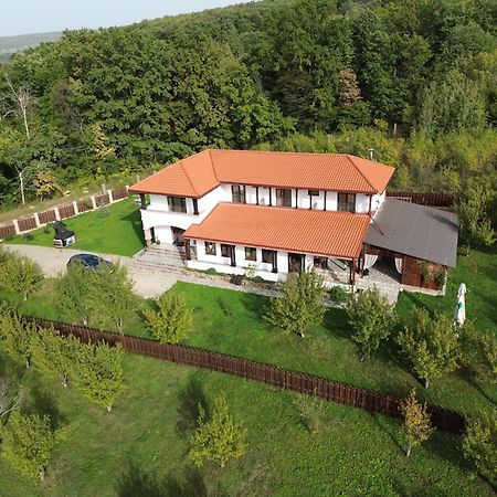 Pensiunea Emelys, Iasi Barnova Exterior foto