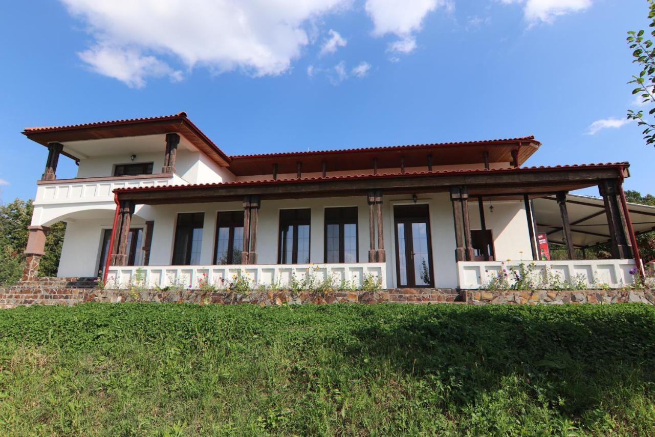 Pensiunea Emelys, Iasi Barnova Exterior foto