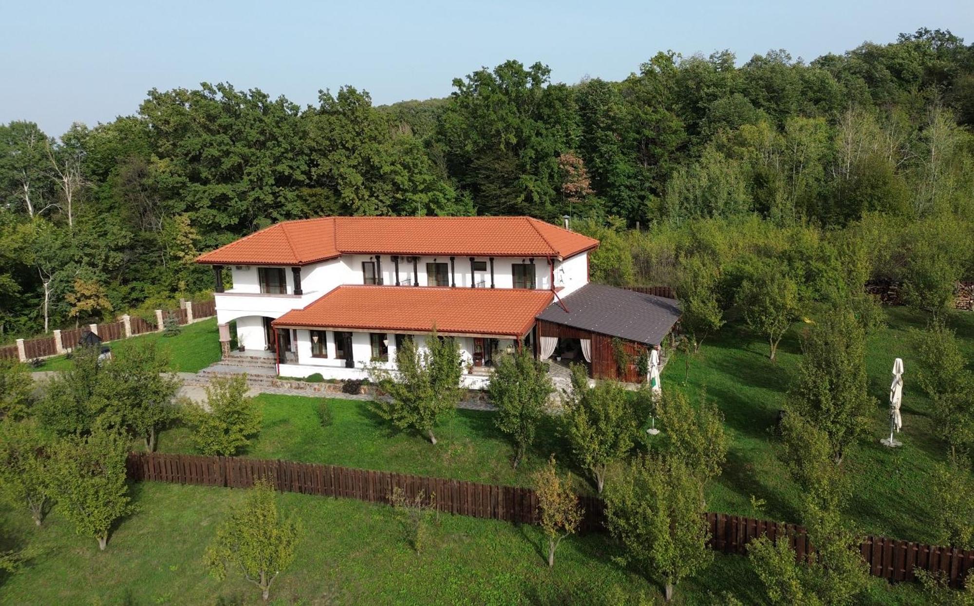 Pensiunea Emelys, Iasi Barnova Exterior foto