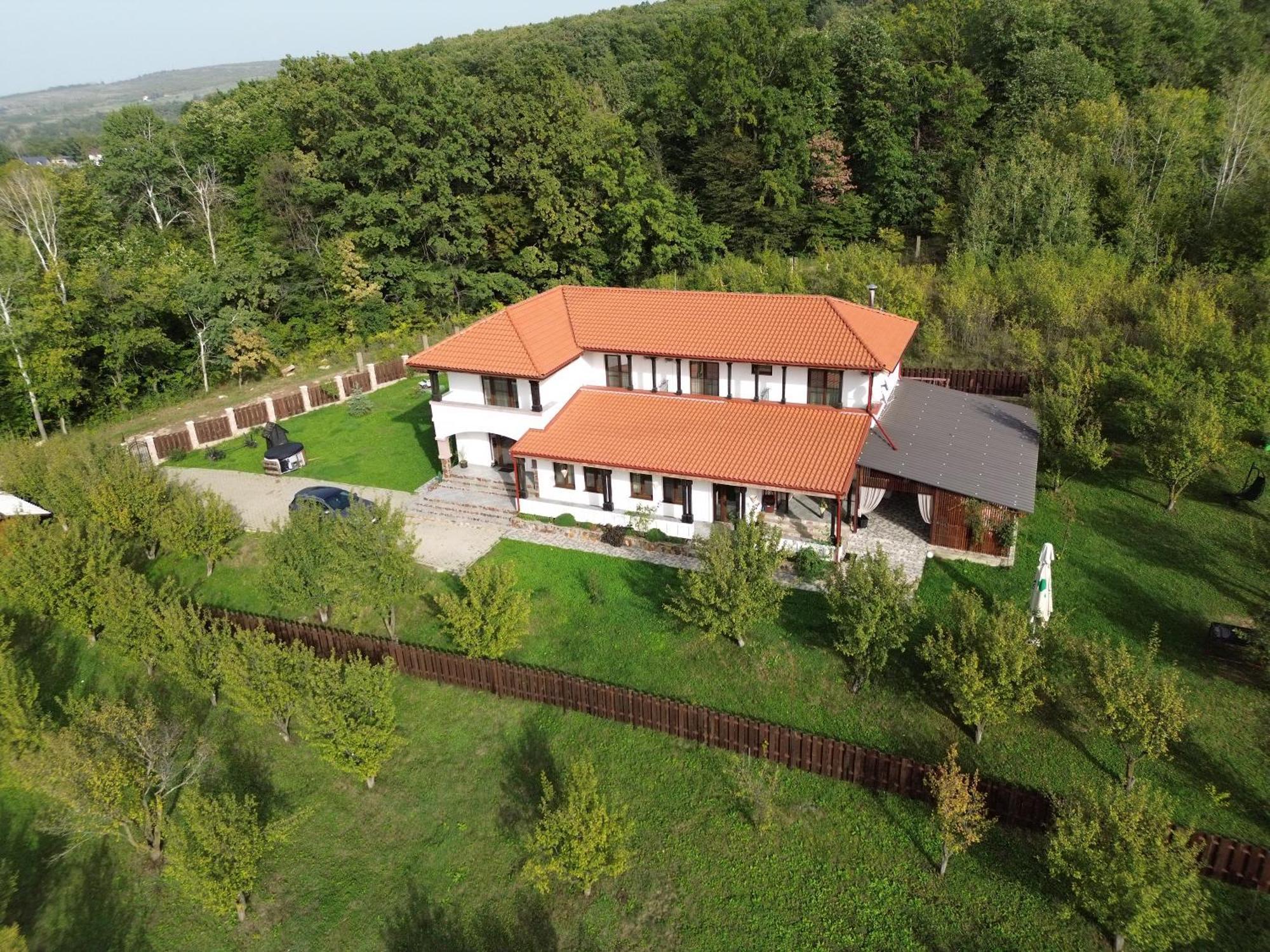 Pensiunea Emelys, Iasi Barnova Exterior foto